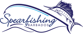 Spearfishing Barbados