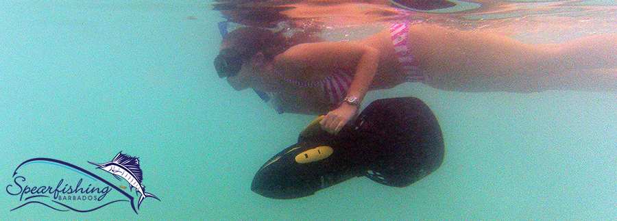 Spearfishing Barbados Sea Scooter tours trips family fun