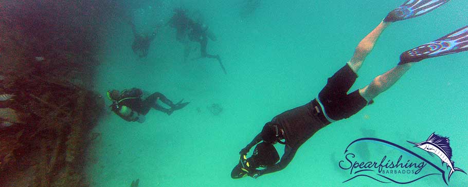 Barbados lionfish spearfishing underwater diving fishing tours trips
